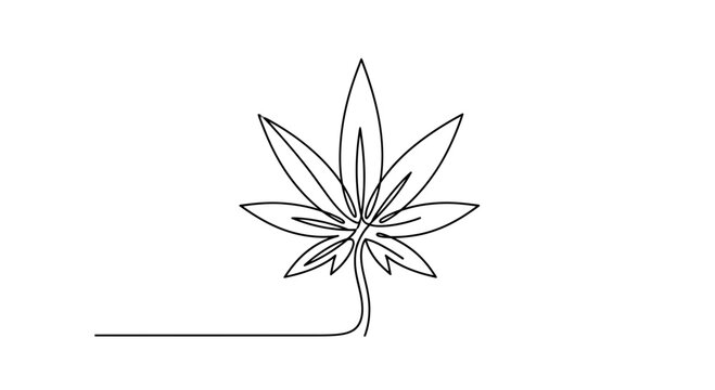 Minimalist continuous line drawing of a cannabis leaf isolated on a white background.
