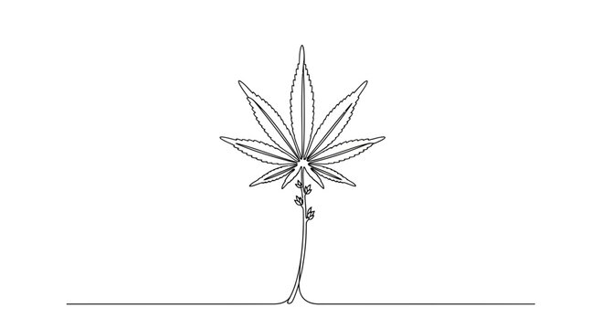 Minimalist continuous line drawing of a cannabis leaf isolated on white background.