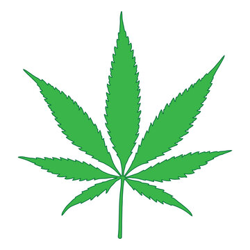 Green cannabis leaf vector illustration isolated on white background