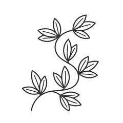 Fototapeta premium Stylized Vine with Leaves
