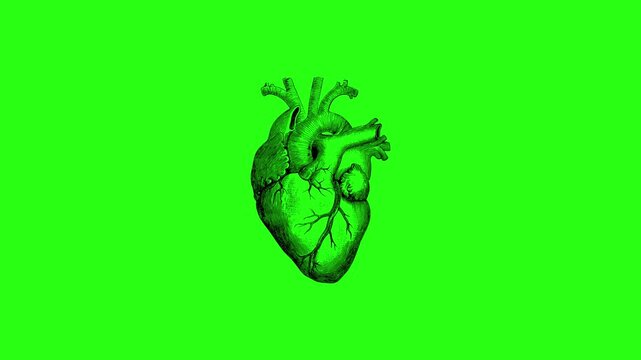 Vibrant green animation of a beating human heart