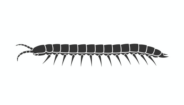 Solid black silhouette of a multi-legged centipede or millipede crawling across a plain white background in flat design.