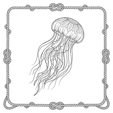 Jellyfish illustration in rope frame border.