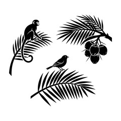 Monkey and birds on palm trees with tropical leaves and fruit
