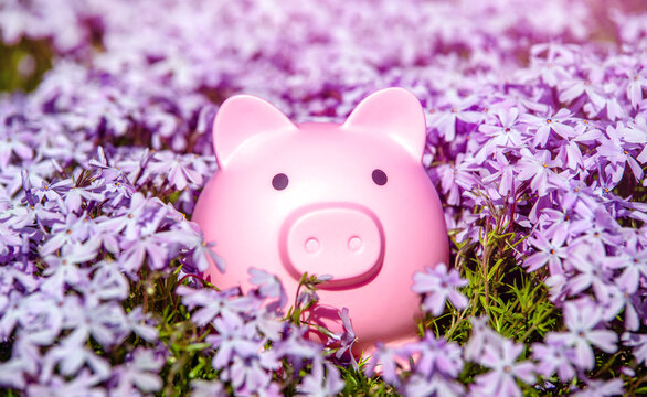 Piggy Bank on the background of blooming purple flowers
