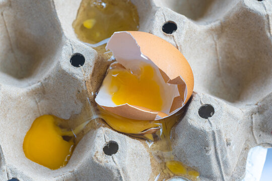 Broken Raw Egg Spilling onto a Cardboard Egg Tray