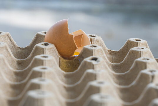 Broken Raw Egg Spilling onto a Cardboard Egg Tray