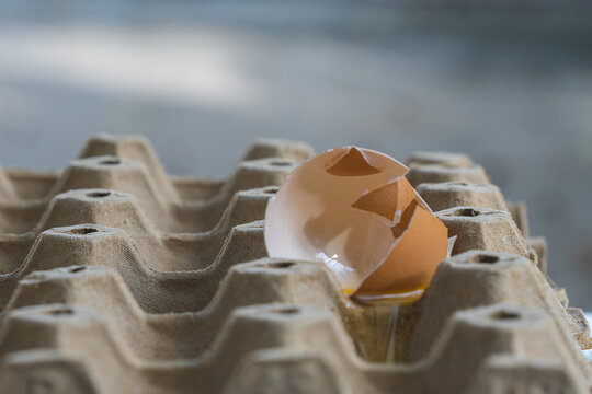 Broken Raw Egg Spilling onto a Cardboard Egg Tray
