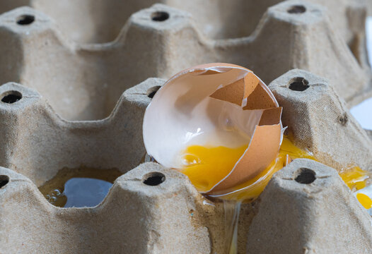 Broken Raw Egg Spilling onto a Cardboard Egg Tray