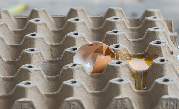 Broken Raw Egg Spilling onto a Cardboard Egg Tray