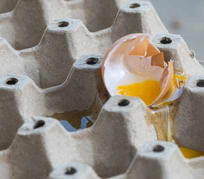 Broken Raw Egg Spilling onto a Cardboard Egg Tray