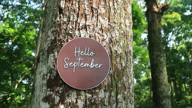 A circular sign with the text Hello September attached to a tree trunk in the forest.
