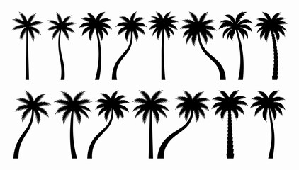 Fototapeta premium Set of black tropical palm tree silhouettes featuring curved coconut palms vector illustration for summer beach design