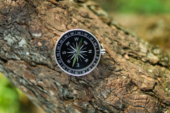 Vintage magnetic compass on rough tree bark in forest. Navigation, route orientation and wilderness survival concept. Adventure travel, hiking and finding way with copy space.