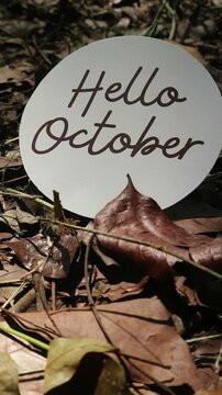 A circular sign with the text Hello October placed on dry autumn leaves.