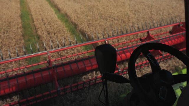 Wheat harvesting in progress from a tractor's perspective, showcasing the cutting header and golden fields of wheat ready for threshing under clear skies