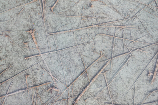 Aerial view of dry twigs and branches scattered across a light-colored sandy surface in Elk Rapids, Michigan, United States.