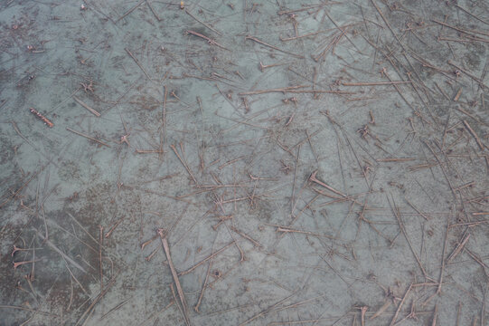 Aerial view of submerged tree branches and logs scattered across the shallow, textured water surface in Elk Rapids, Michigan, United States.