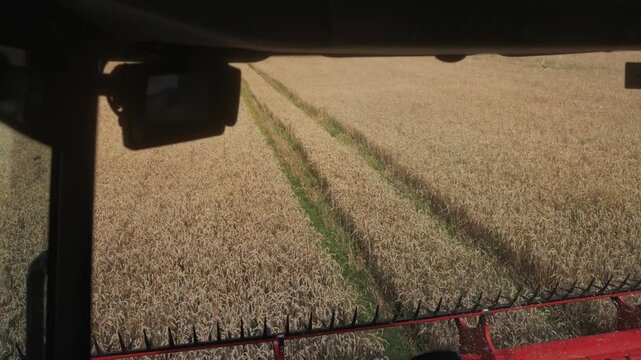 Wheat harvesting process viewed from inside a combine harvester, showcasing the cutting action and the golden fields of wheat in the background