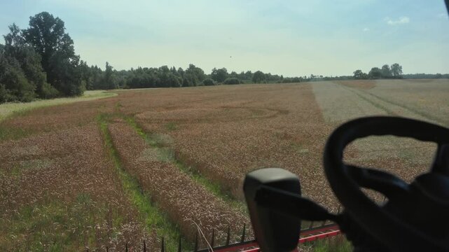 Wheat harvesting process viewed from tractor cabin, showcasing the steering wheel and expansive field of ripe wheat ready for threshing and collection