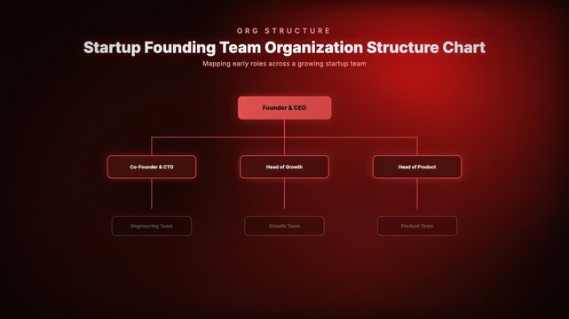 Animated startup founding team organization structure chart mapping early roles across a growing company