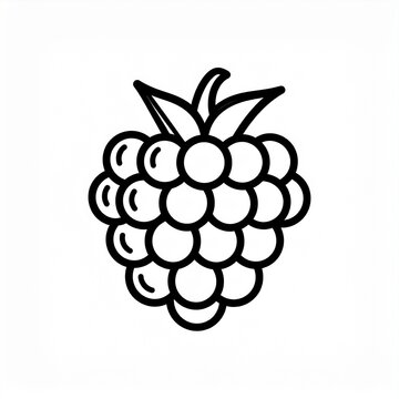 Black and white line art illustration of raspberry fruit.