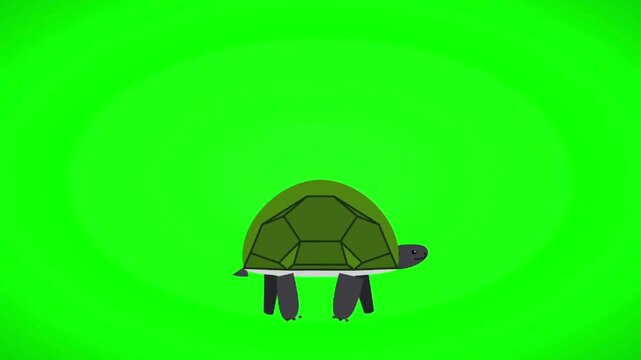 Minimalist cartoon turtle character designed in a flat vector style isolated on a vibrant green screen background for animation and digital projects