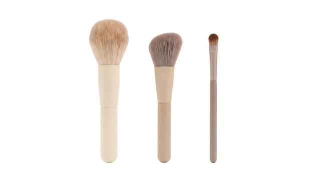 brushes three cream taupe brown transparent background set collection isolated Three makeup brushes in large medium and detail sizes line up for cosmetics for product catalogs and advertising
