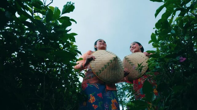 Two Smiling Asian Women in Traditional Attire Holding Hats in Tea Field