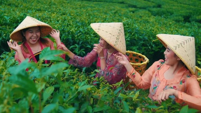 Three Happy Asian Women Laughing and Playing in Tea Plantation