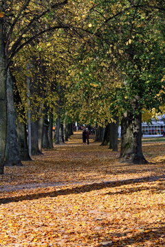 Hauptallee Bad Pyrmont im Herbst