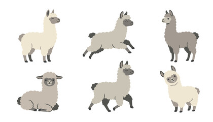 Naklejka premium Cute llama and alpaca vector character set with different poses running sitting and standing isolated on white