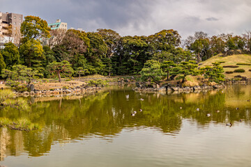 Fototapeta premium Wide panoramic landscape of the pond island and pine trees under overcast sky at Kiyosumi Gardens March 2024