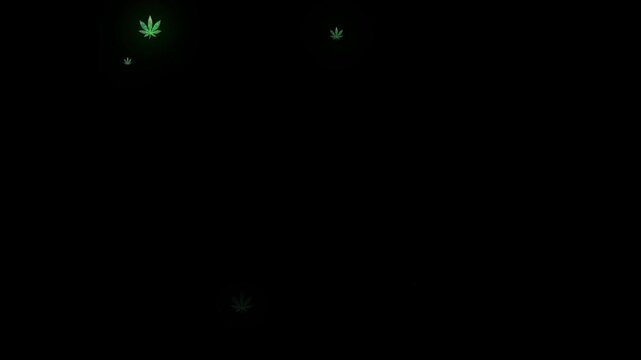 Looping cannabis leaf icons swirling on black background with copy space. Ideal for cannabis industry, market trends, public health topics, and informative infographics.