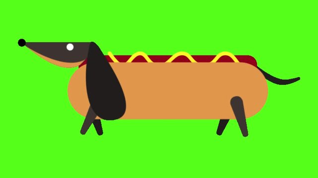 Animated cartoon dachshund dogs represented as hot dogs walking against a bright green screen background with three stylized dachshund stripes walking rhythmic video displays three illustration