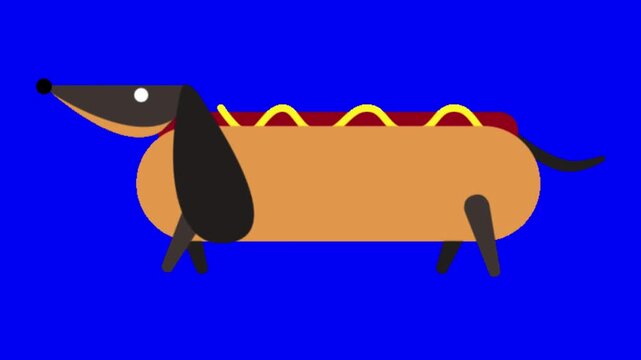 Animated cartoon dachshund dogs walking against bright solid blue background graphic design illustration with video repeating animation animation three stylized bodies walking forward minimalist