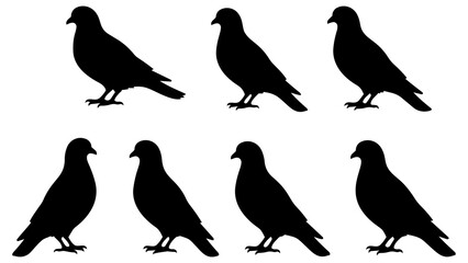 Obraz premium Set of Seven Black Silhouette Pigeons Birds Vector Illustrations for Design, Logo, Poster, and Branding Projects
