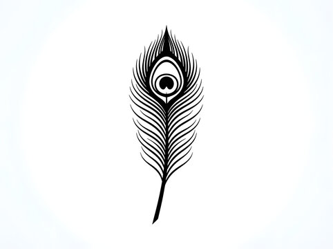 Elegant black and white peacock feather vector design for artistic branding and minimalist graphic illustration assets