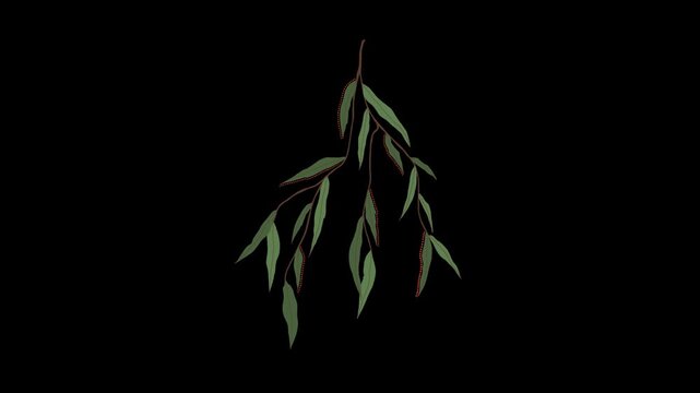 Minimalist willow branch illustration set featuring three identical botanical elements isolated on solid black background with arranged horizontally against displays repeating pattern video displays