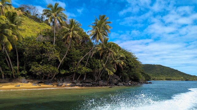 Scenic coastal landscape view of tropical island n Kadavu, Fiji with palm trees and turquoise ocean water