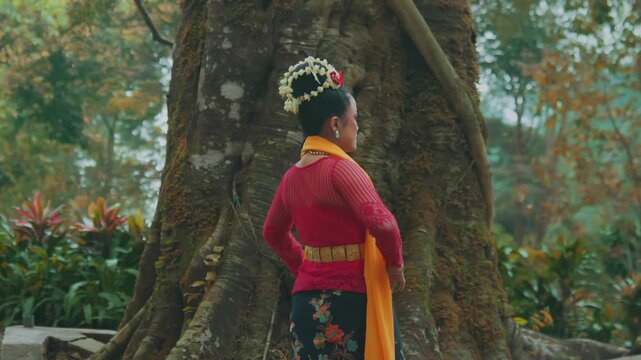 Rear View of Javanese Dancer Standing by Ancient Banyan Tree Roots