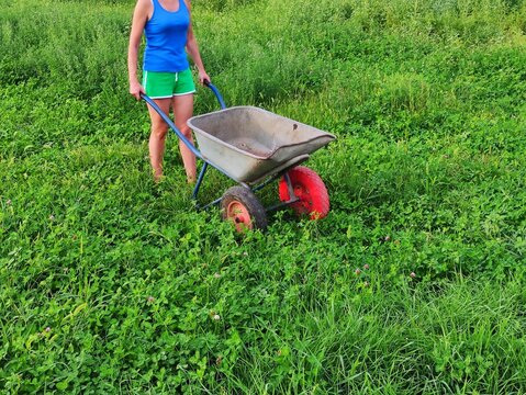 Woman pushing a wheelbarrow through tall green grass in a sunny summer garden