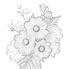 Obraz premium Wildflower arrangement sketch isolated on transparent background