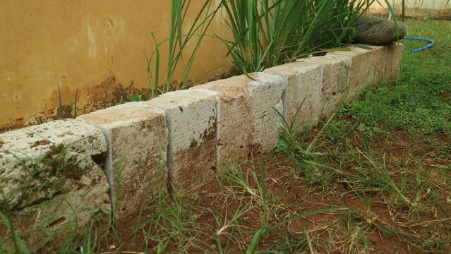 Concrete block retaining wall separating green grass and growing plants in a backyard garden