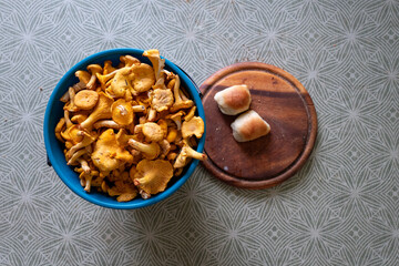 Fresh golden chanterelles in a blue bowl with buns on a wooden board. © Arkadii