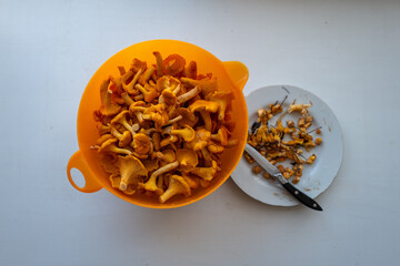 Fresh chanterelles in an orange bowl, on a prepared plate with a knife, ready to cook. © Arkadii
