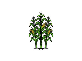 Fototapeta premium A Cluster Of Three Corn Stalks With Lush Green Foliage And Bright Yellow Ears Of Corn Depicted In A Simple Vector Style Vector Illustration
