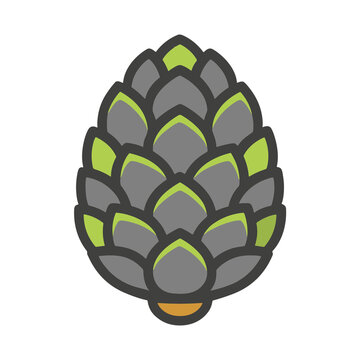 Illustration of a hop cone