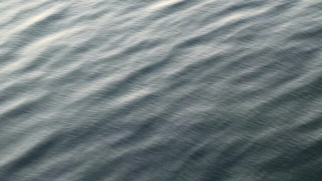Dark water surface with gentle ripples flowing during daylight, authentic nature video footage.
