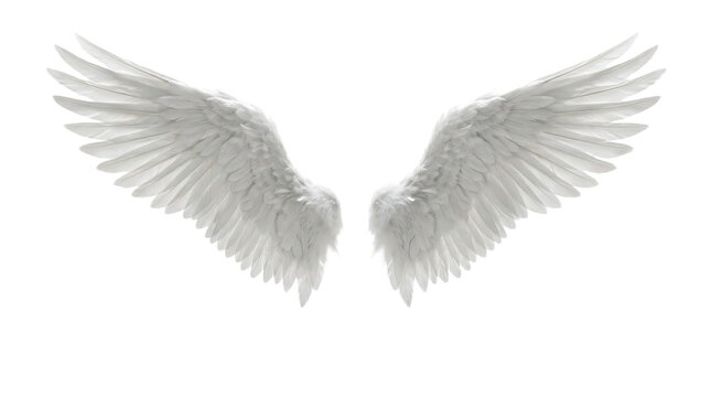 White angel wings isolated on transparent background for spiritual design